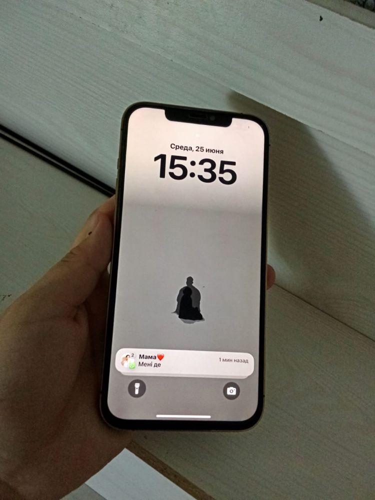 Iphone 12 pro max