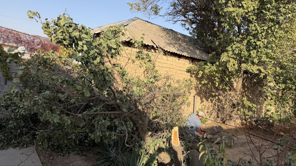 Агаш отын драва дрова отын агаш