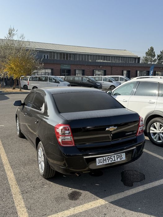 Cobalt 2024 toza tonirovka bor