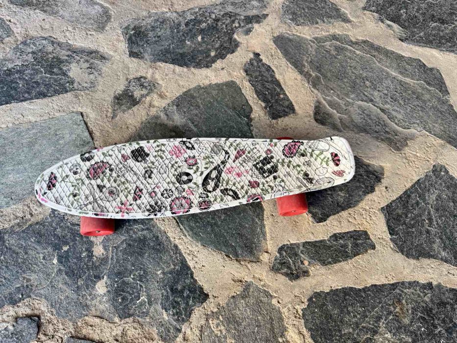 Слонче и скейтборд