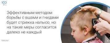 выведим вшей быстро