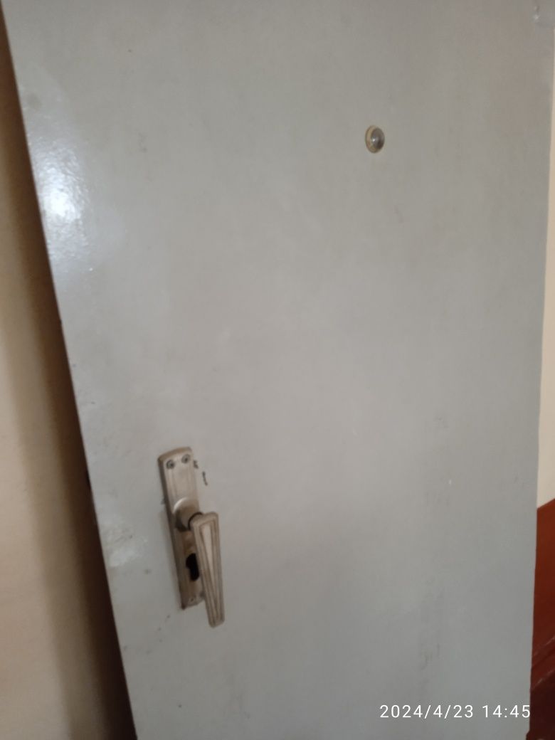 Недорого железная дверь для квартиры и дома