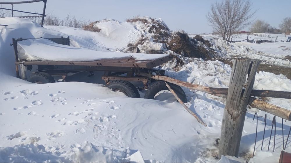 Стогомед и прицеп ЗИЛовский