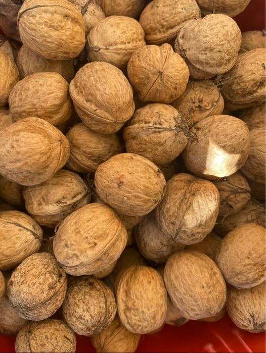 Vand nuci productie 2025