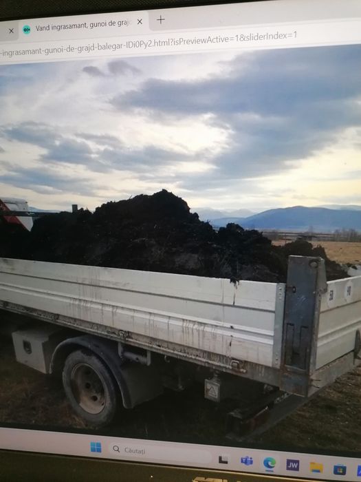 Vând gunoiul de grajd de vaca de doi ani cu transport inclus