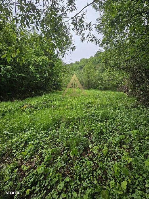 Teren  Pentru Bussiness 2842 Mp De Vanzare In Statiunea  Targu Ocna