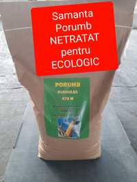 Sămânța Porumb Fundulea 474M,Felix , Magnus,Turda, Netratat pt Ecologi