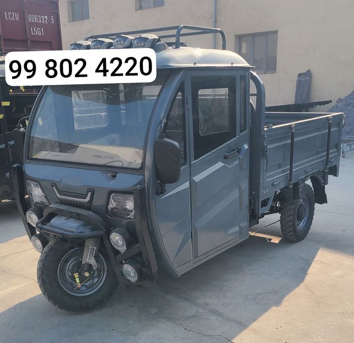 Cavalo muravey elektr