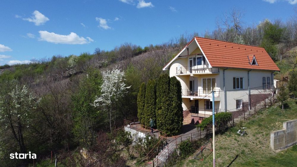 Oaza de Liniste | Casa cu Vedere Panoramica – Leamna, Dolj