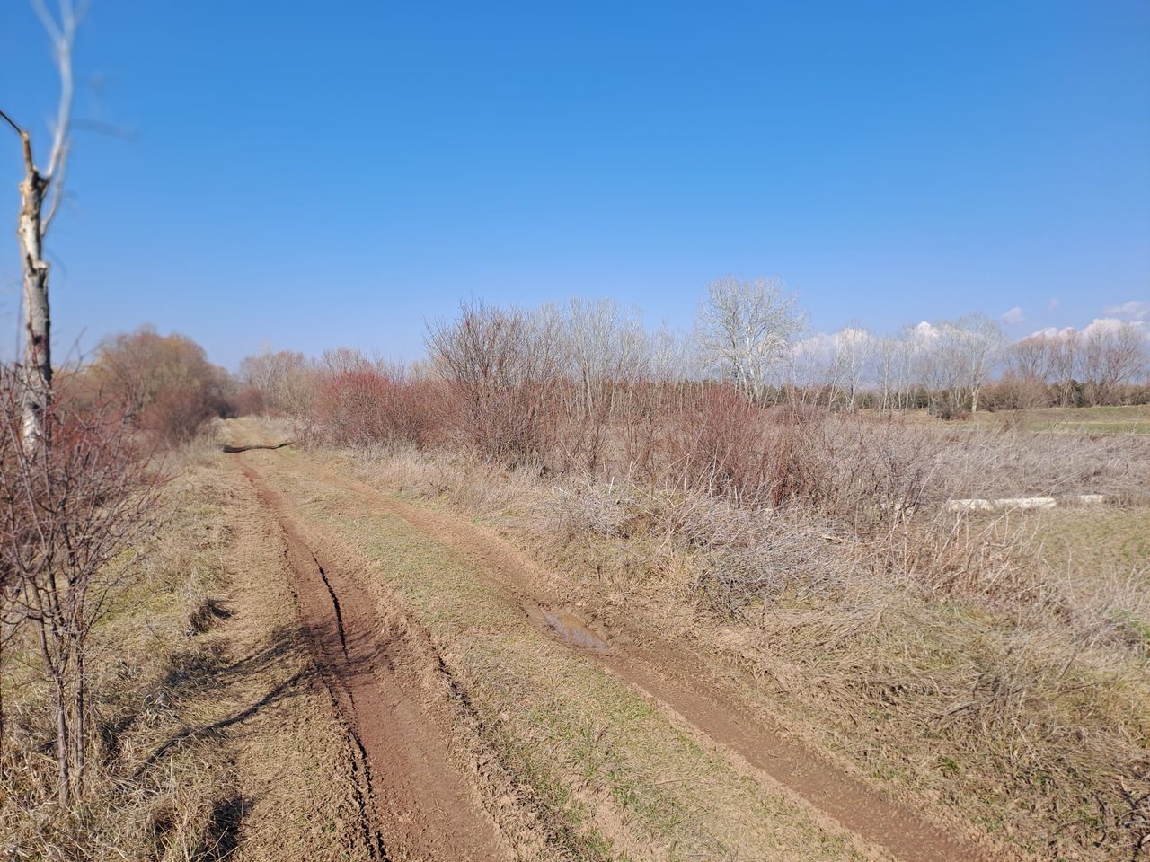 Продава се Парцел в с. Равно поле, Област София-област - 6000 кв.м за 13 €/кв.м - Снимка #7