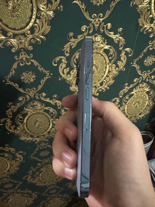 iPhone 13 pro LL/A