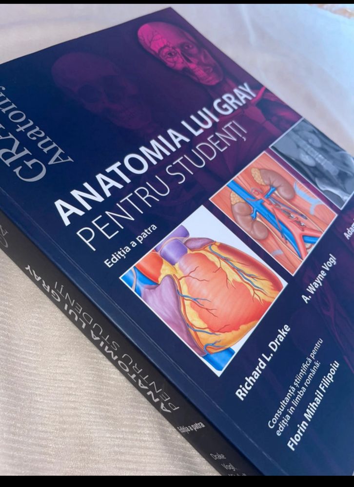 Anatomia lui grey