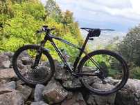 Scott Scale 910 carbon 29inch