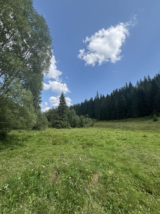 Vând teren, sat Ciurtuci, Beliş (în apropiere de lacul Belis)