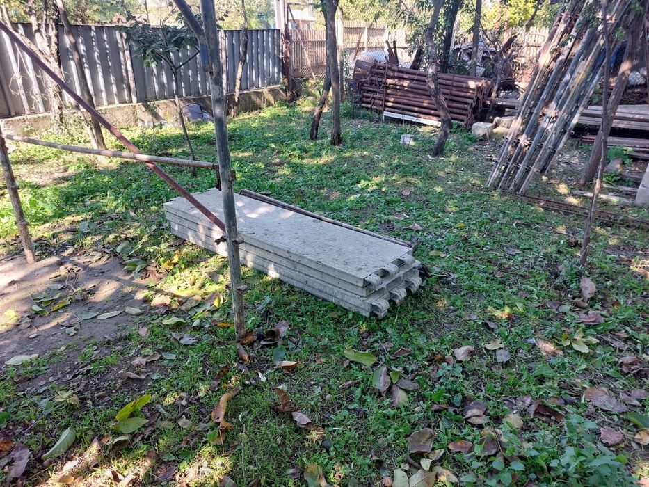 Schela metalica și popi