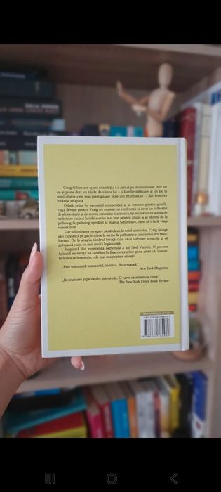 O poveste haioasă-Ned Vizzini