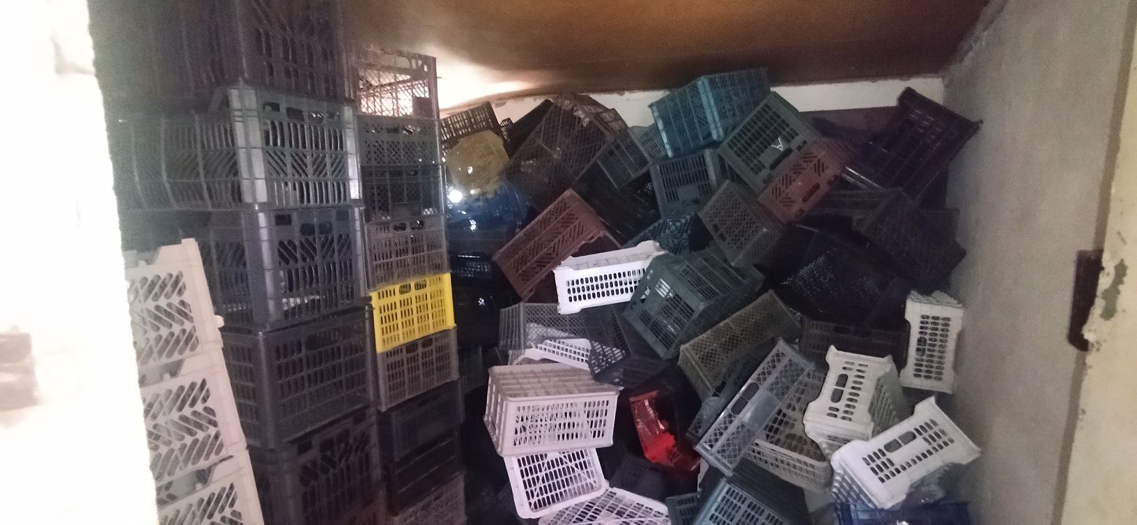 Plastmasa yashiklar sotiladi 3000 DAN 6000 gacha boʻlgan