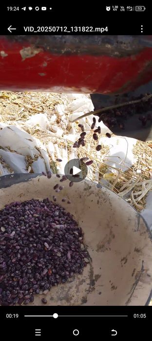 T28TRAKTOR va lubiya duki sotiladi ishlashni zoʻr