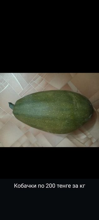 Кабачки деревенские  200 тнг