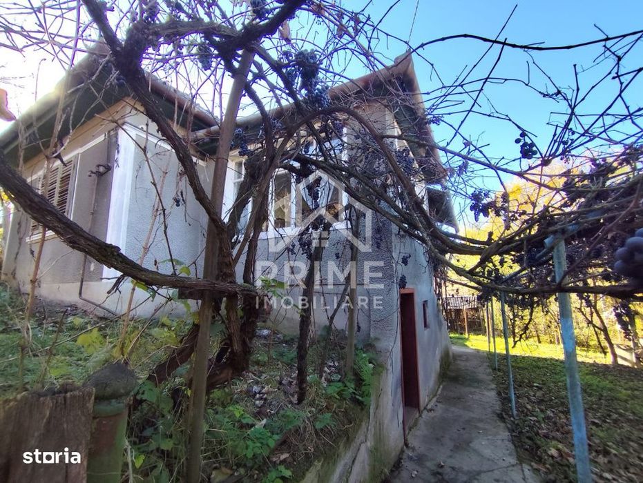 Casa Individuala 3 camere| 769 mp teren| zona Blaj