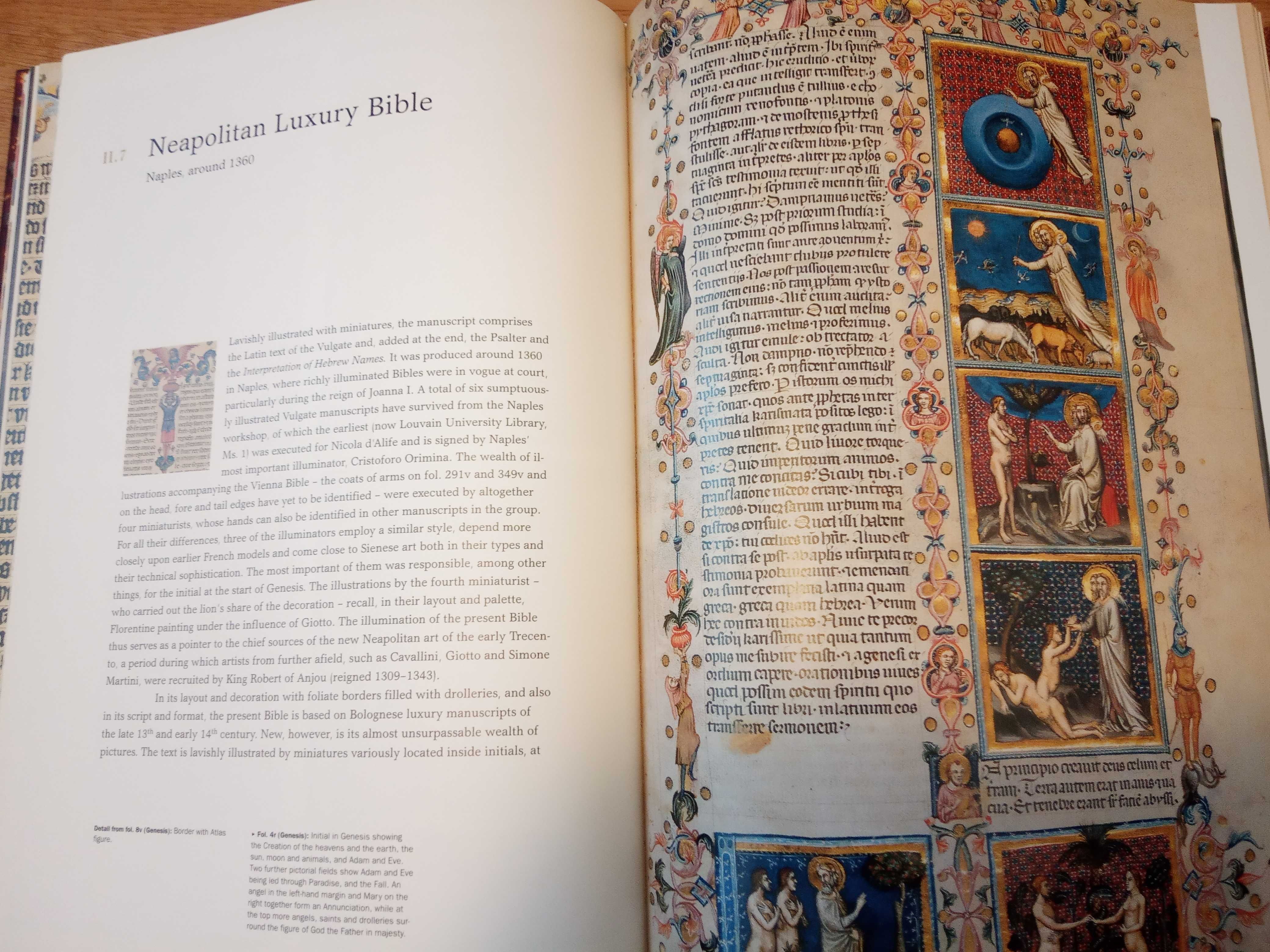 34 Dictionare bune, de toate tipurile, unele straine + carti gramatica