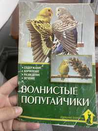 Книга про попугайчиков всего за 1000