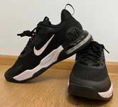 Nike Air Max Alpha Trainer