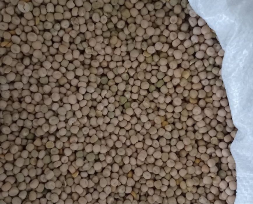 Vand mazare selectata