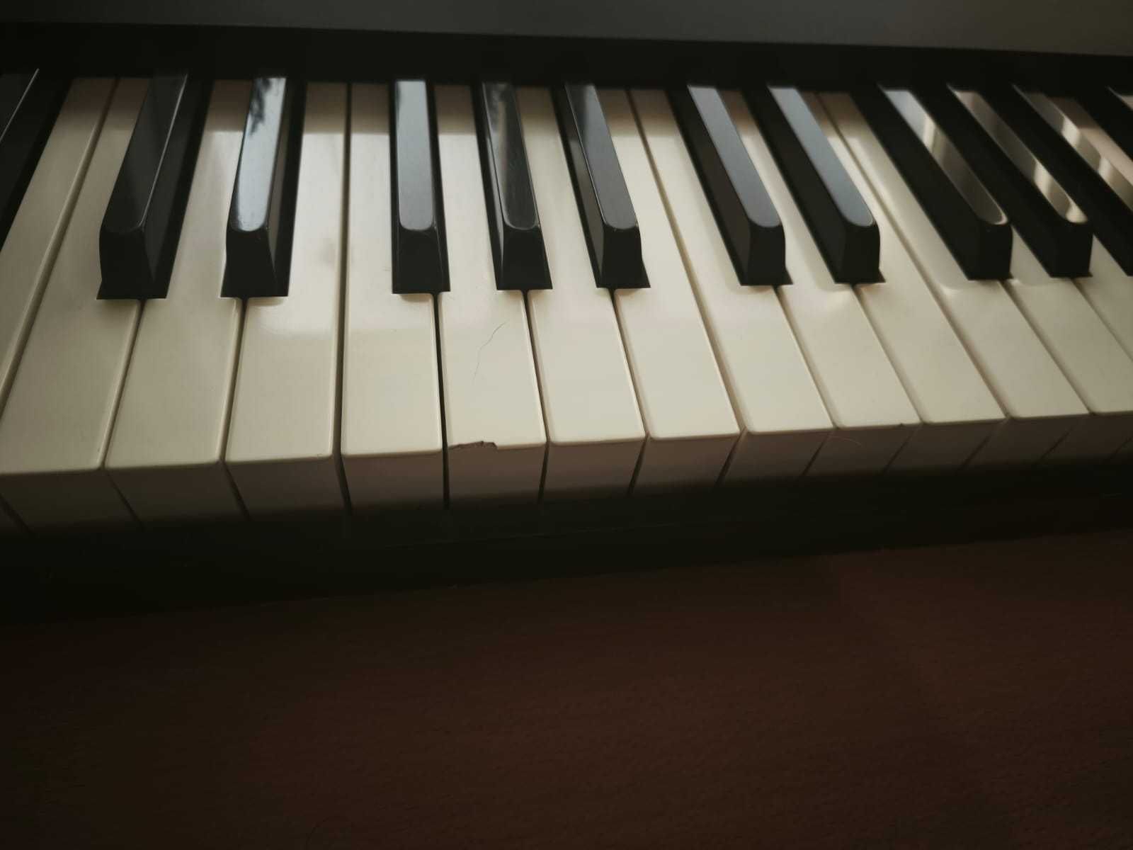 Roland A-80 MIDI Controller 88 clape – stare foarte bună - vintage