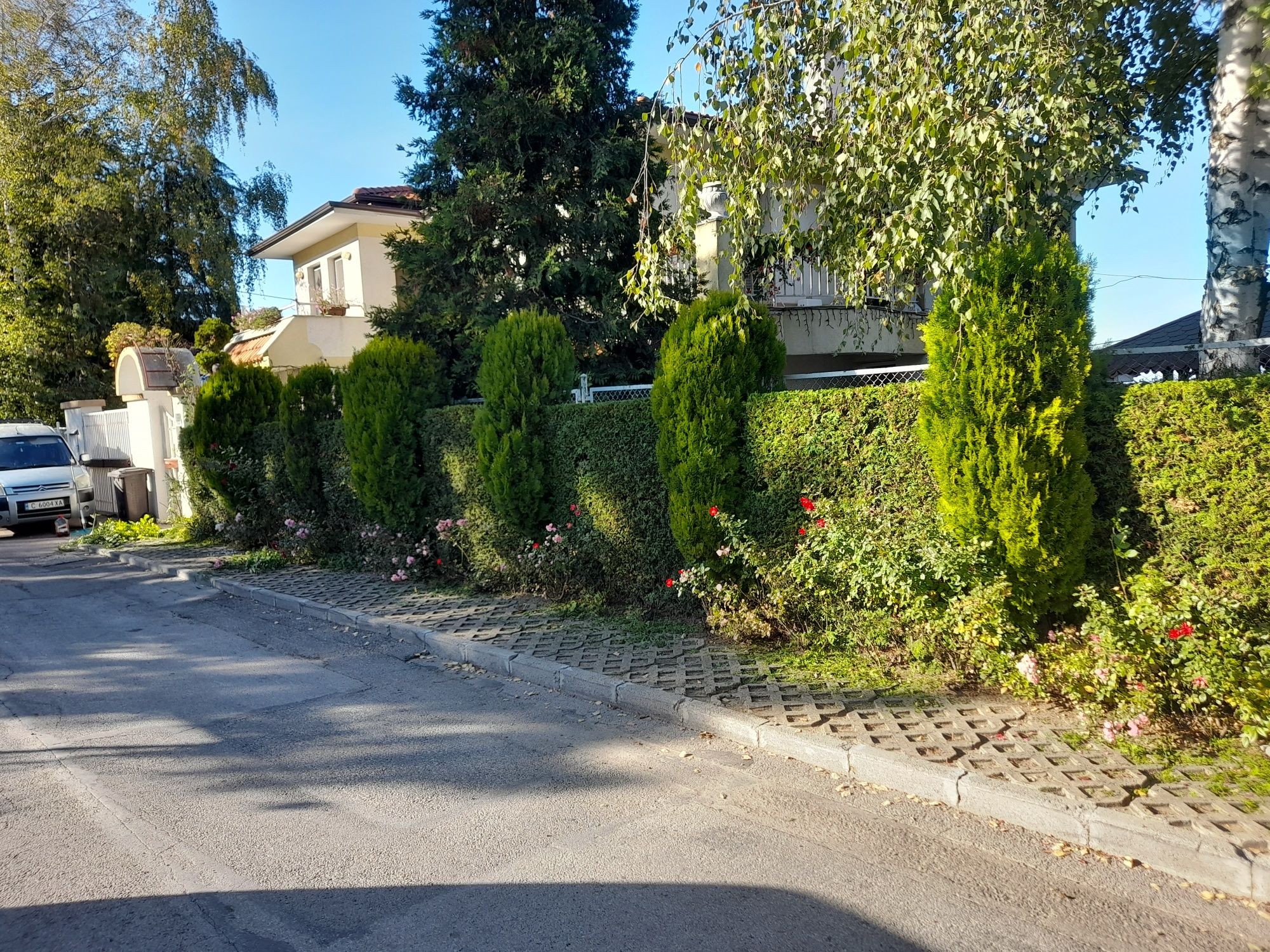 Косене на трева,градинарски услуги,озеленяване и поддръжка на дворове
