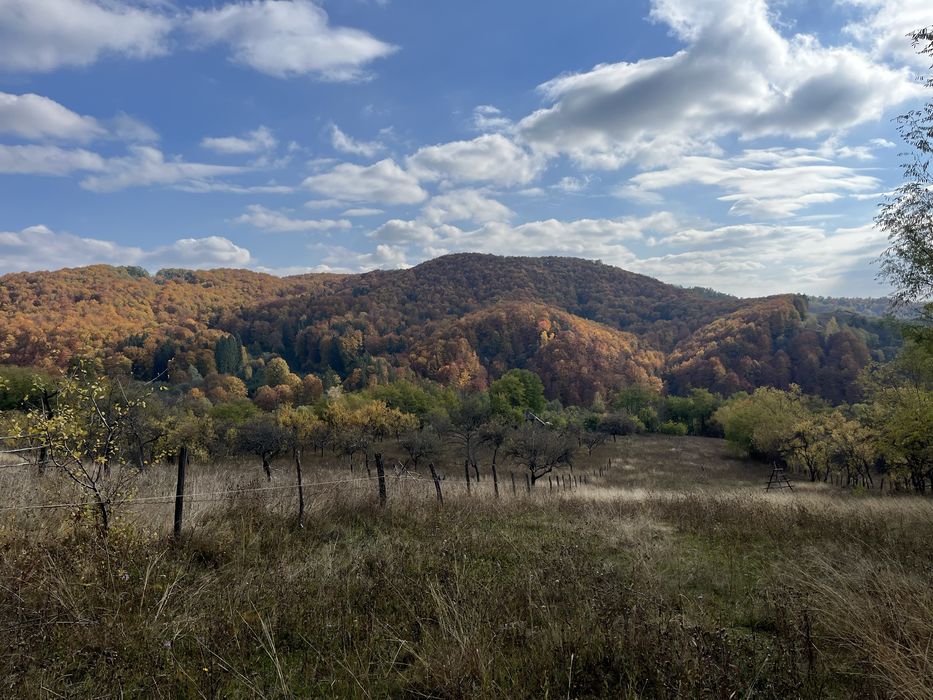 Teren de vanzare in  Albesti Ungureni, strada Valea Stupinii, 5000 mp