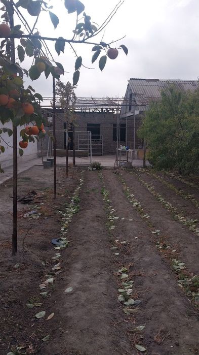 Ховли уй 2 беш болада.Заказерно.