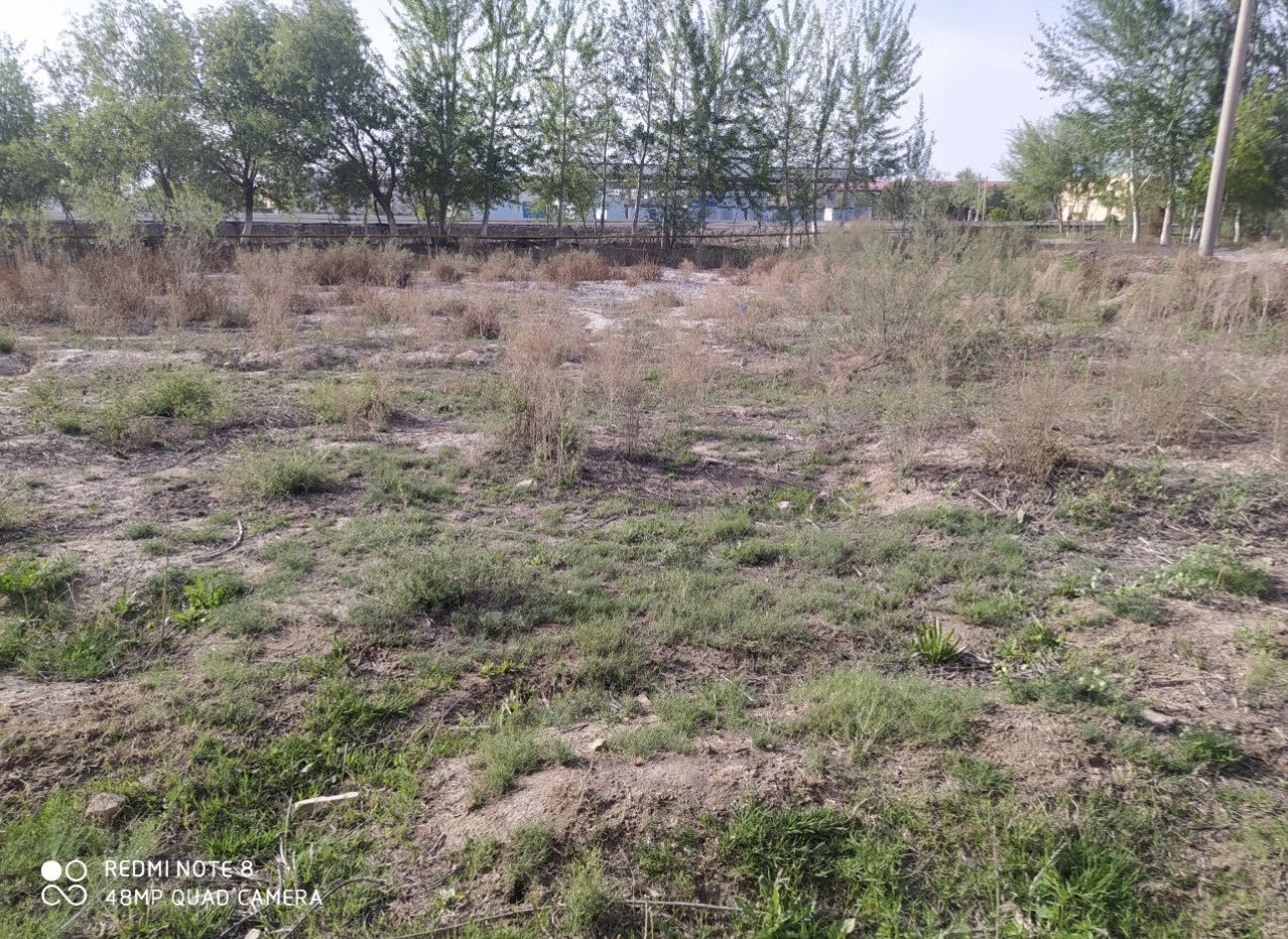 Пристань нокис хожели жолдын бойында жер план сатылады