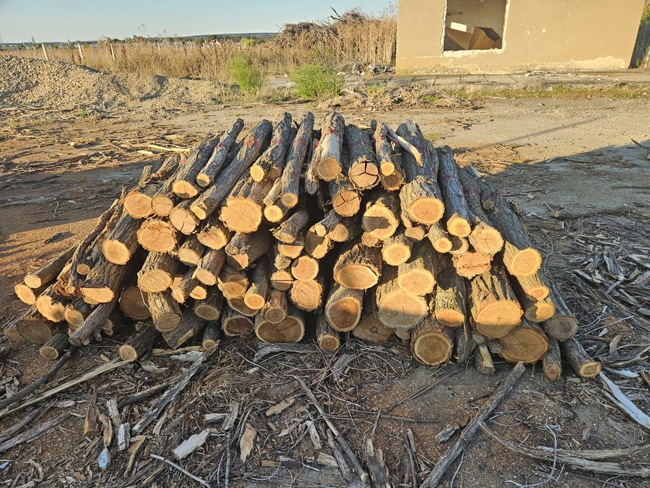 Lemne pentru foc