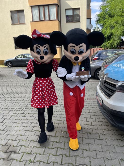 Kids corner/tobogan gonflabil/animatori socio-educativa/minnie&mickey