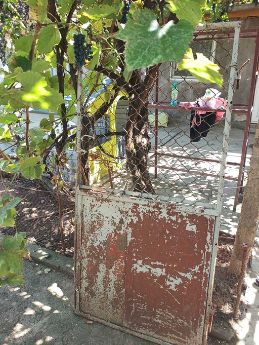 Vând 2 porți de fier