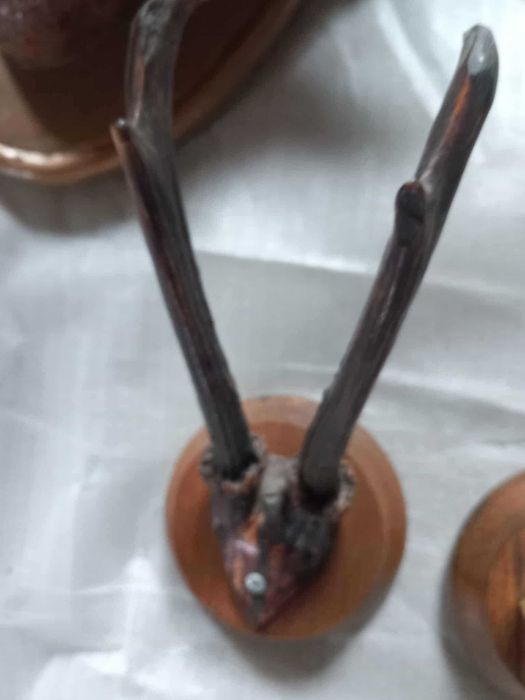 Trofeu căprior cu sculptură – decoruri autentice pe panoplie!