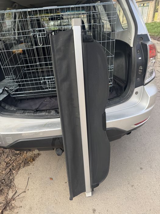 Щора за Форесър след 2008г.