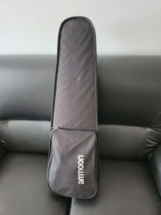 Vioara electrica ammoon