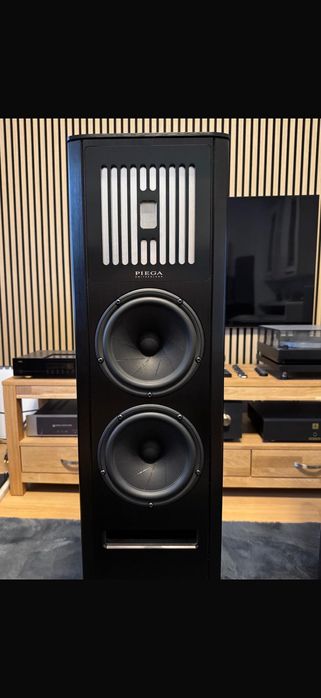 Piega Coax 90.2/Swizerland