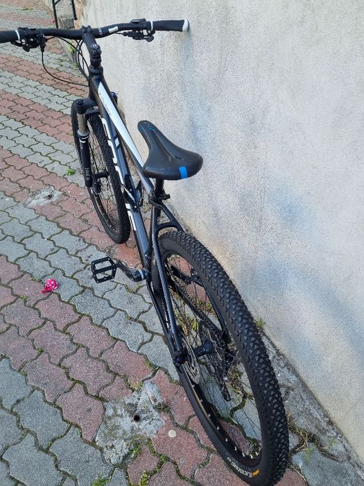 Focus black forest 29"