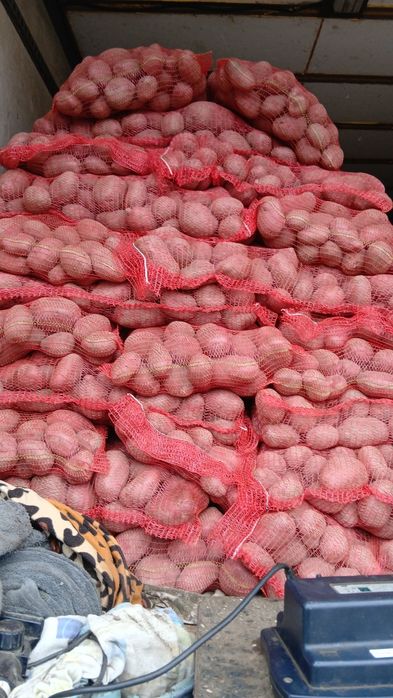 Cartofi rosii cu miezul galben