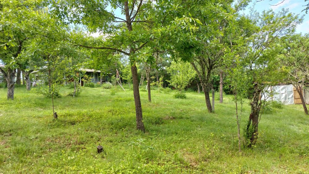 Продава се Парцел в с. Егълница, Област Перник - 1187 кв.м за 27 €/кв.м - Снимка #9