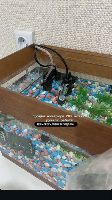 Аквариум 20л , терморегулятор , камни цветные двух видов и украшения .
