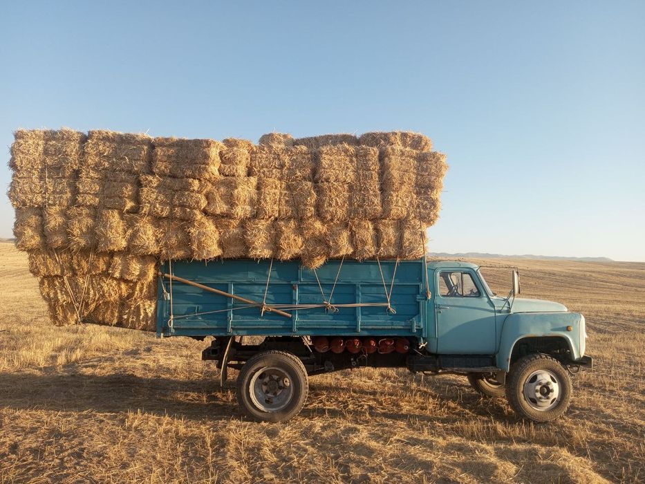 Gaz 53 samosval  sotiladi srochna. Holati alo.
