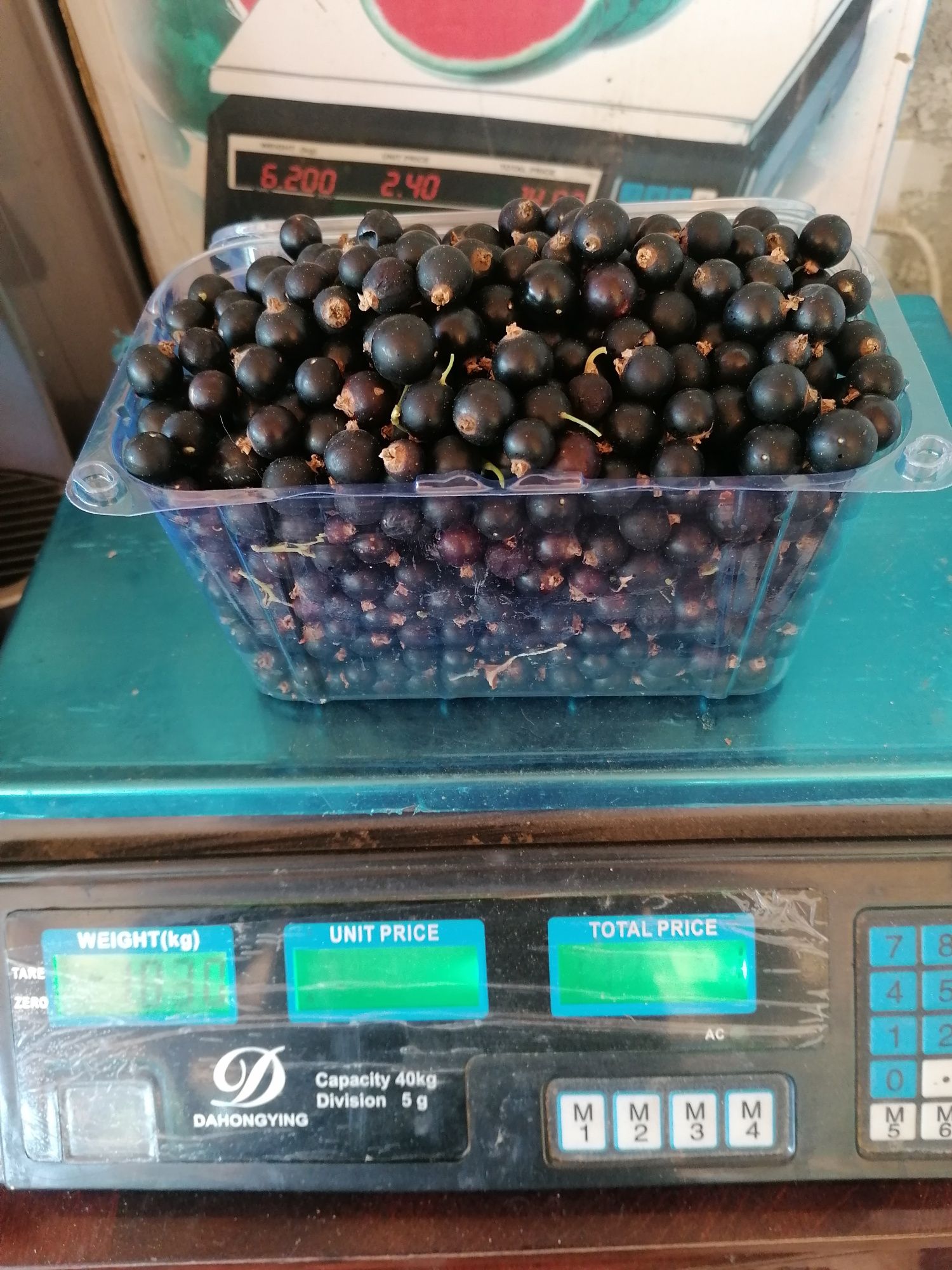 Oferim spre vânzare Coacăze negre și coacăze roșii și Agrișe