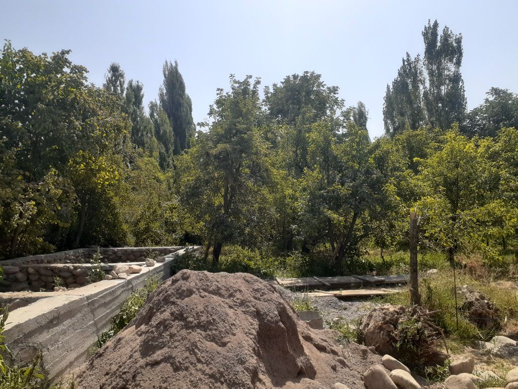 Qoramozorda yer sotiladi