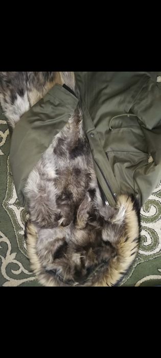 Парка енот очень теплая