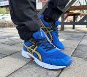 Спортивные мужские Asics кроссовки (2813)
