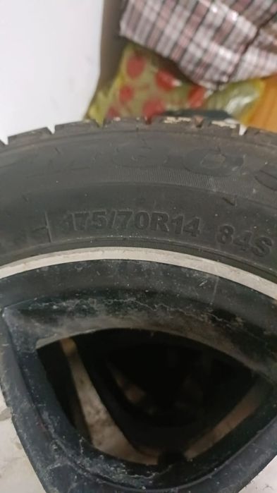 Р 14. Адалга жаксы